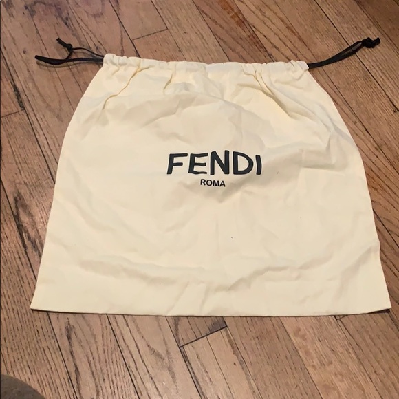 fendi shoe bag